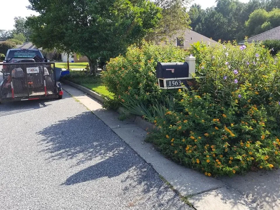 Top-rated yard cleanup service in Columbus, GA by All About Grass