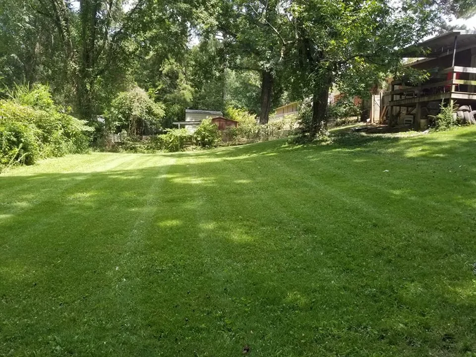 Custom yard maintenance near you across Columbus, GA - All About Grass
