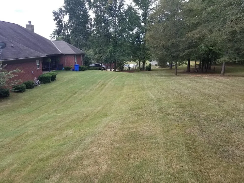 Trusted lawn mowing service experts serving Columbus, GA - All About Grass