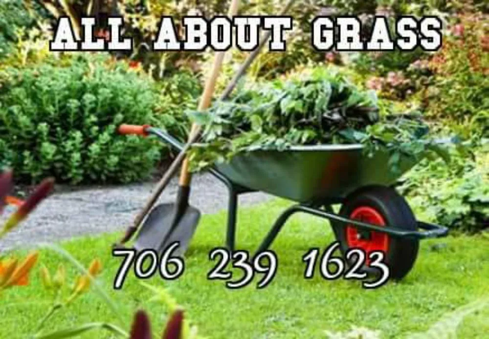 Professional yard maintenance for outdoor upgrades in Columbus, GA by All About Grass