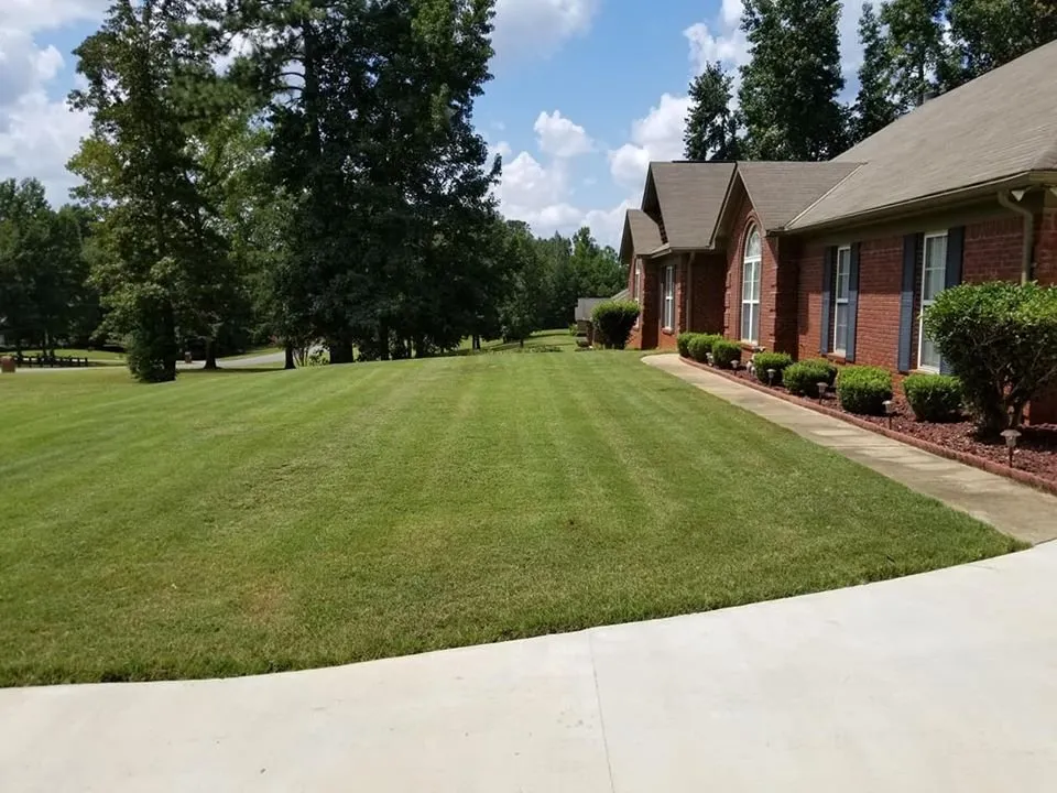 Professional landscaping services in Columbus, GA by All About Grass