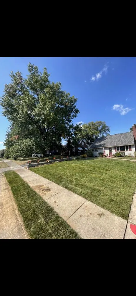Local garden landscaping experts serving Jackson Belden, OH - All About Green