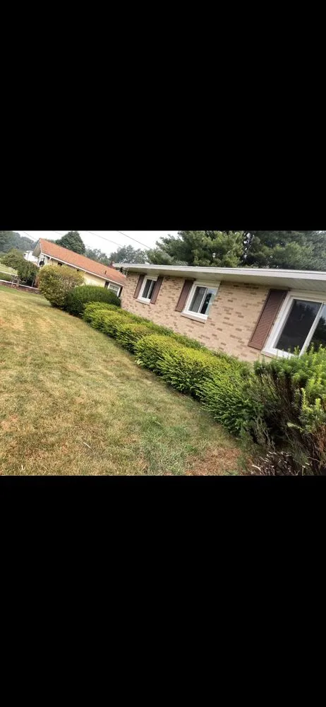 Professional residential landscaping for residential properties across Jackson Belden, OH - All About Green