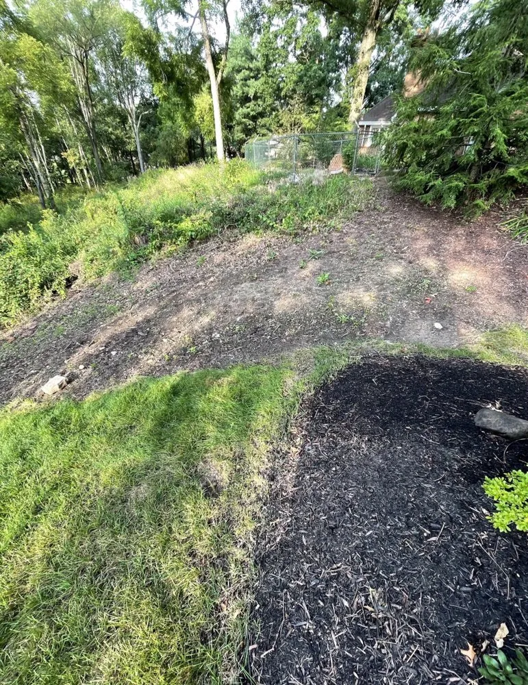 Top-rated landscaping services for beautiful yards in Jackson Belden, OH by All About Green