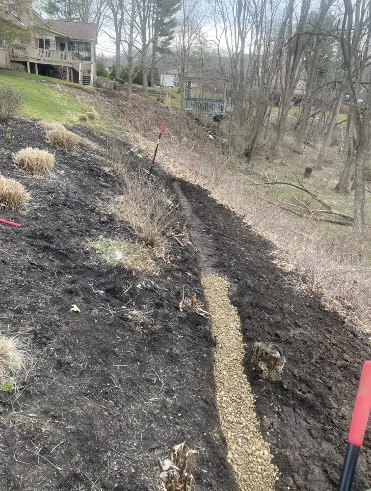 Affordable yard cleanup service for residential properties across Jackson Belden, OH - All About Green