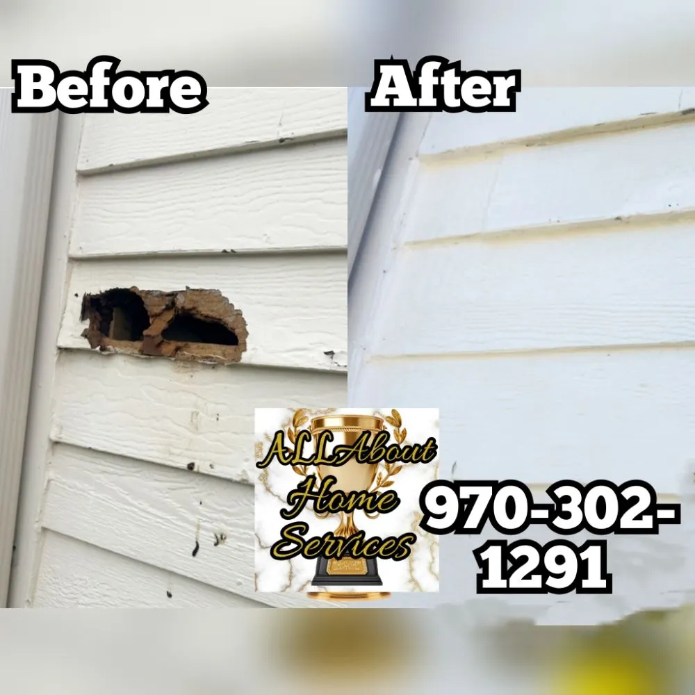 Affordable lawn mowing service in Greeley, CO - All About Home Services