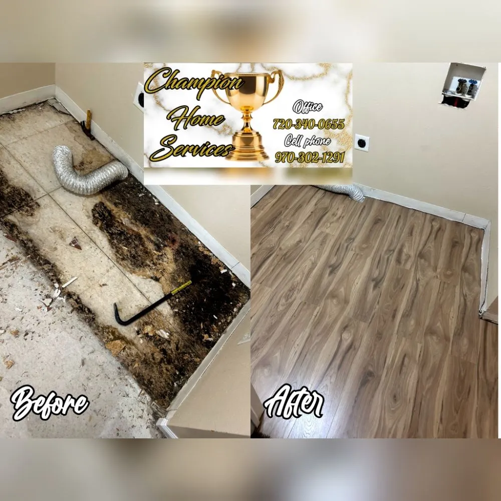 Professional garden landscaping in Greeley, CO by All About Home Services