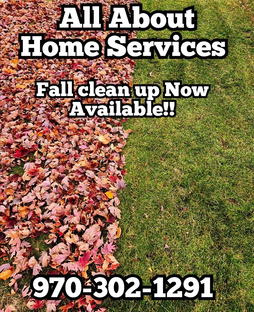 Professional landscaping services in Greeley, CO by All About Home Services