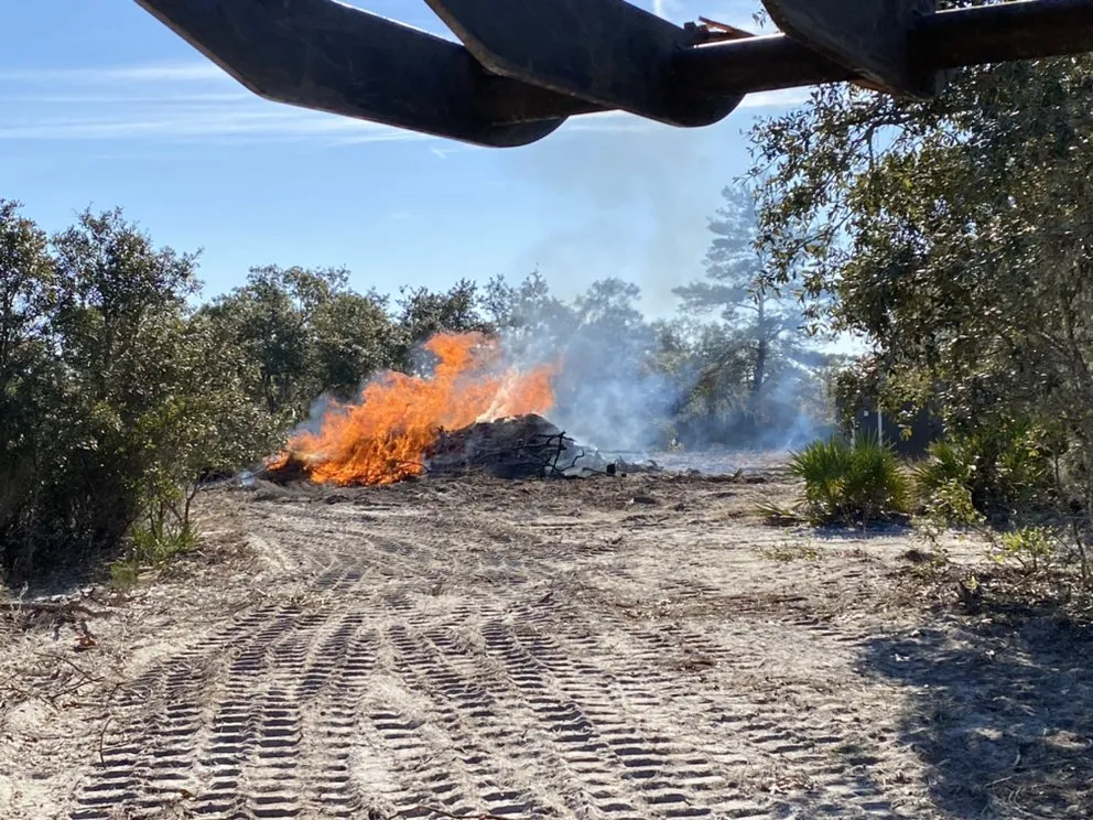 Expert landscape installation for homes across Bronson, FL - All About Land Clearing & Bobcat Services