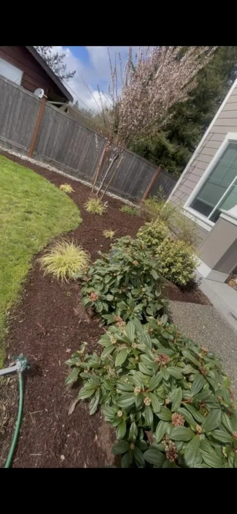 Affordable lawn care service experts serving Monroe, WA - All About Landscape & Maintenance