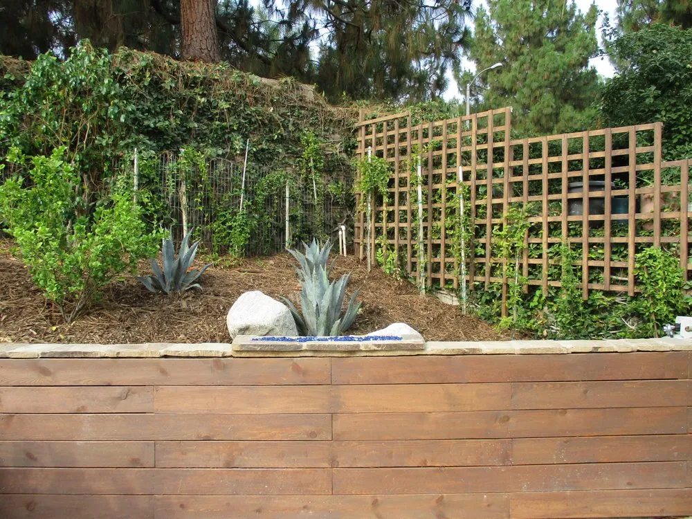 Professional lawn care service for homes in Camarillo, CA by All About Landscape