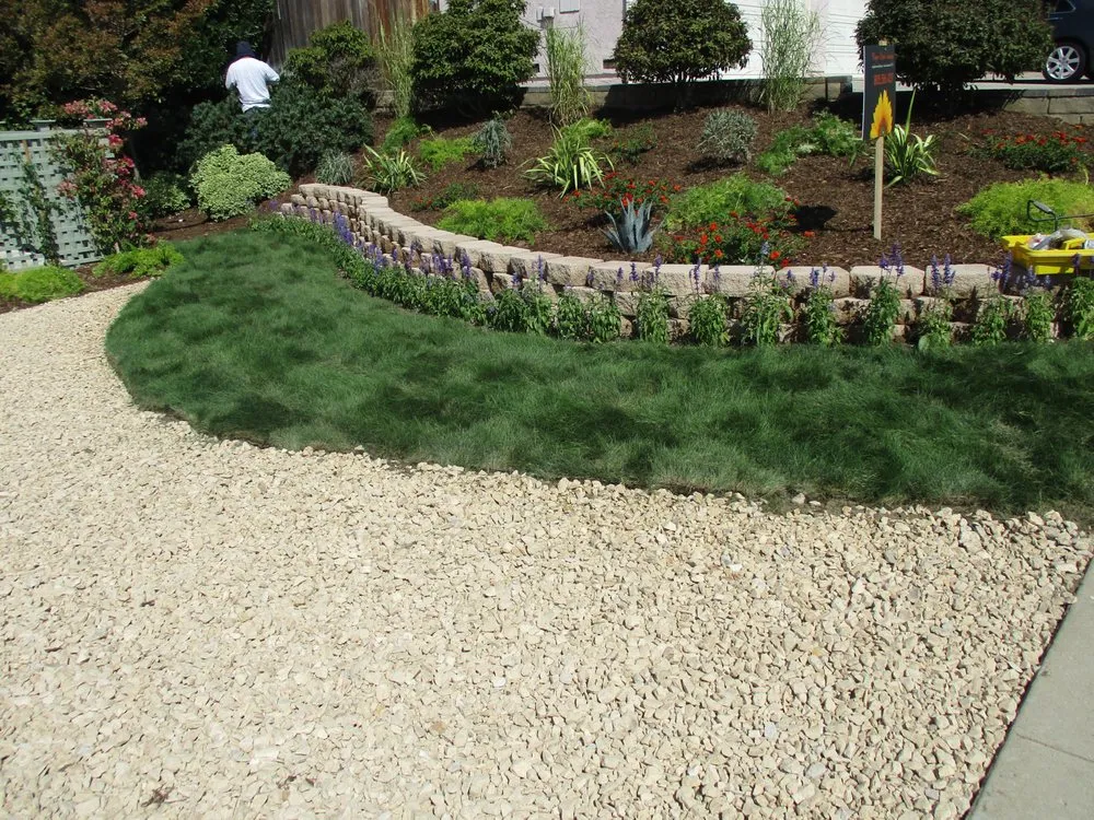 Local residential landscaping in Camarillo, CA - All About Landscape