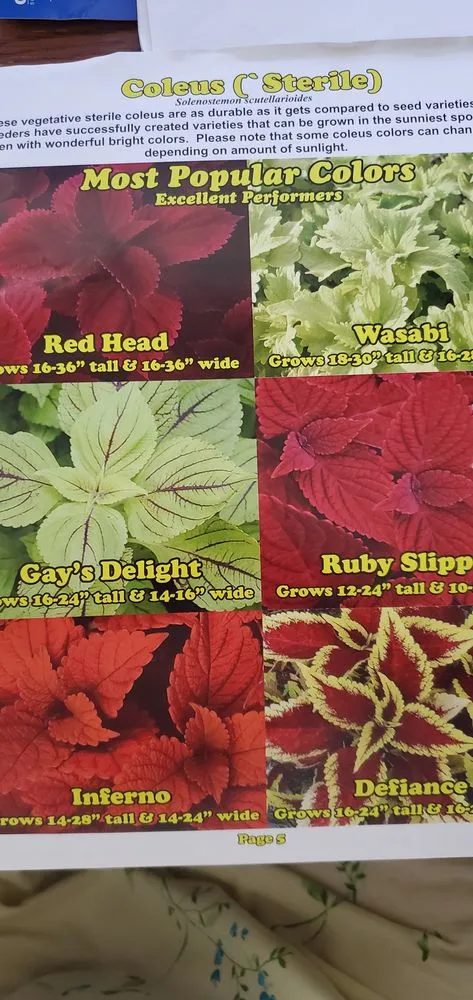 Reliable outdoor landscaping experts serving Tequesta, FL - All About Landscaping & Lawn Maintenance