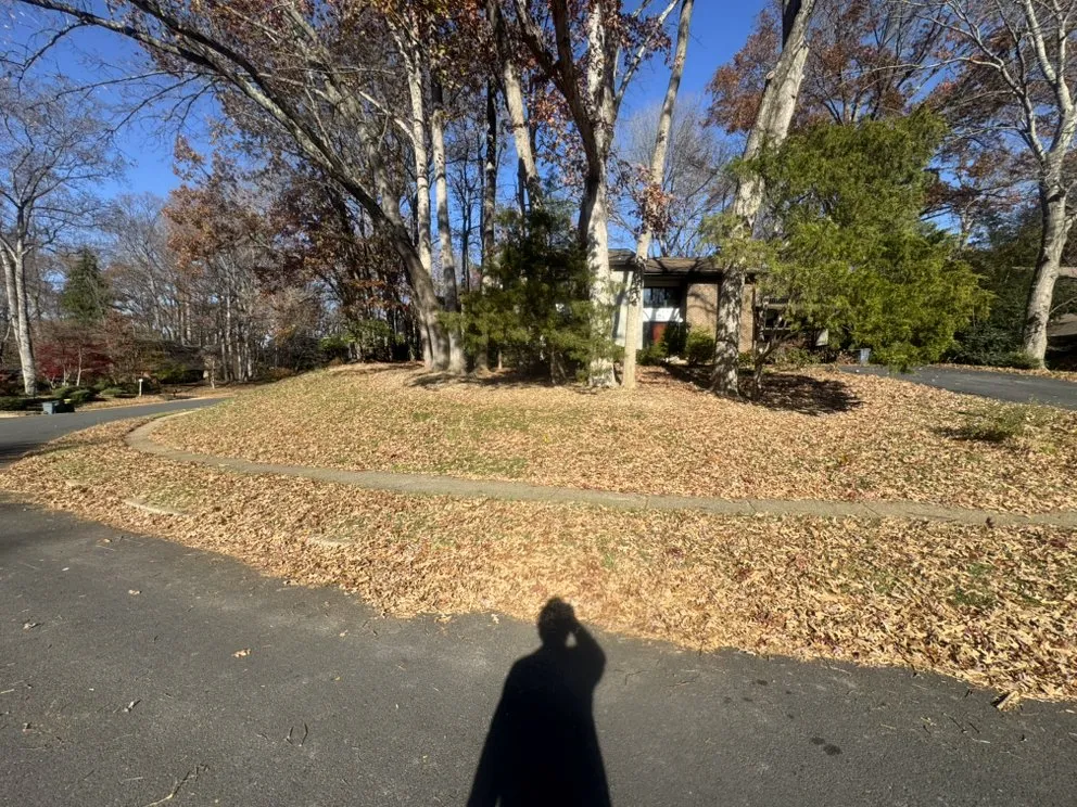 Local lawn mowing service for residential properties in Fairfax, VA by All About Landscaping