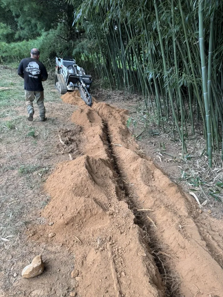 Trusted landscaping services for beautiful yards across Fairfax, VA - All About Landscaping