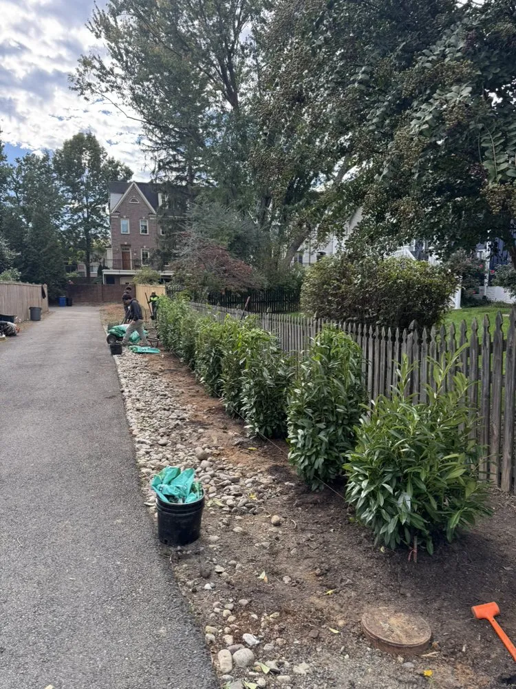Expert yard cleanup service in Fairfax, VA by All About Landscaping