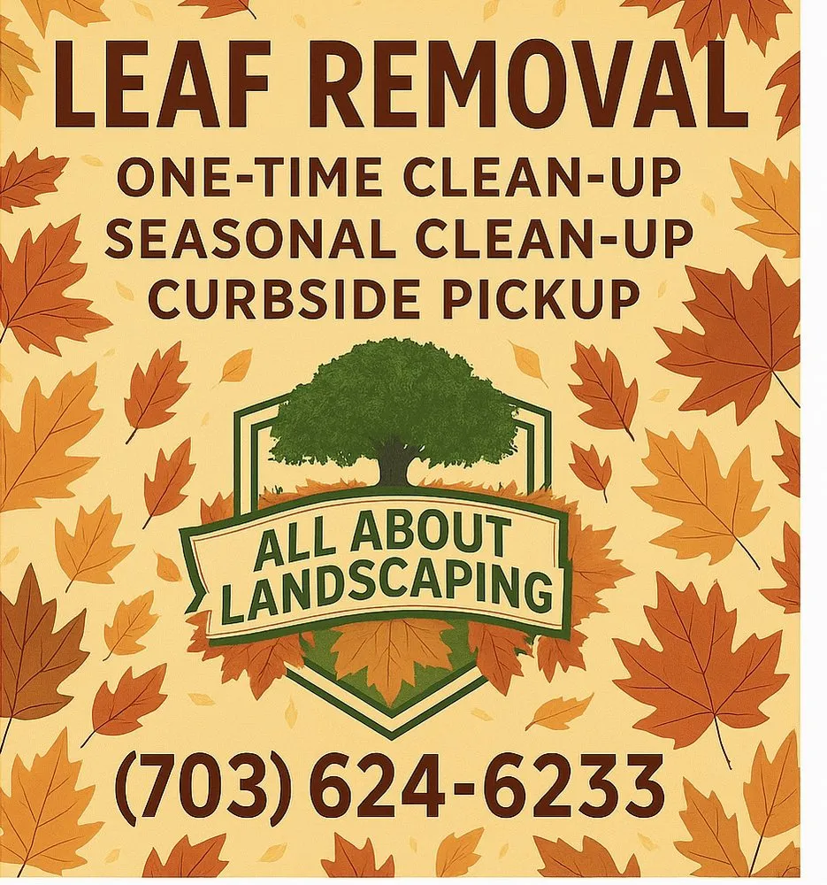 Trusted lawn mowing service for year-round maintenance in Fairfax, VA by All About Landscaping