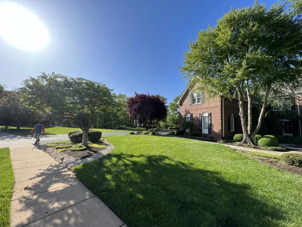 Affordable garden landscaping in Fairfax, VA by All About Landscaping