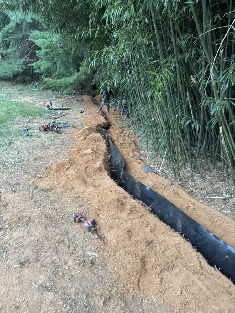 Affordable yard maintenance in Fairfax, VA by All About Landscaping