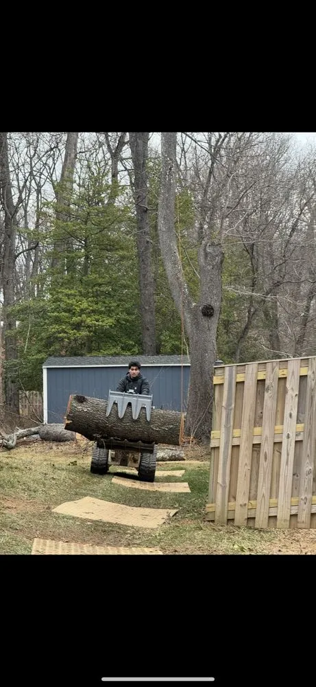 Local yard cleanup service with custom design in Fairfax, VA by All About Landscaping