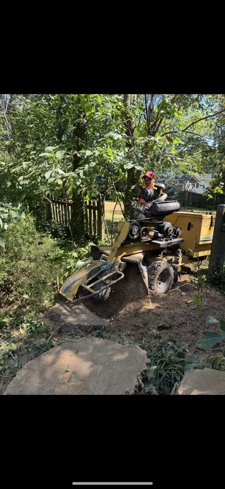 Reliable lawn mowing service experts serving Fairfax, VA - All About Landscaping