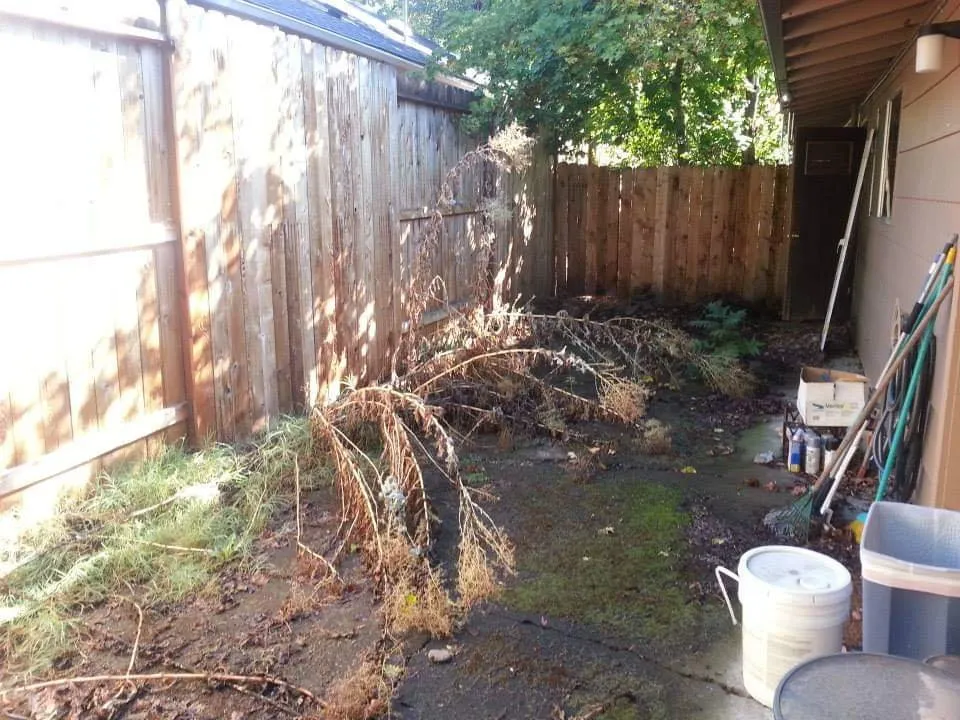 Local yard maintenance experts serving Medford, OR - All About Landscaping Maintenance