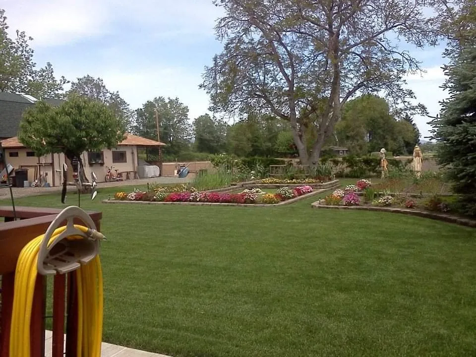 Local yard maintenance in Medford, OR - All About Landscaping Maintenance