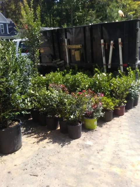 Custom landscape design for homes in Raleigh, NC by All About Landscaping