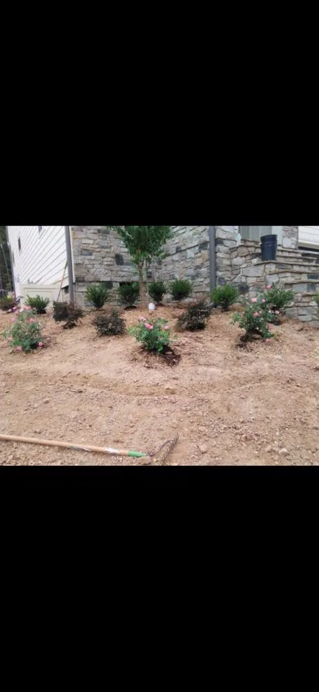 Custom yard cleanup service in Raleigh, NC by All About Landscaping