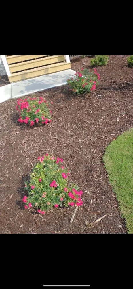 Trusted landscaping services for year-round maintenance in Raleigh, NC by All About Landscaping