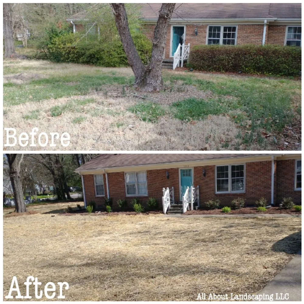 Professional landscape installation for year-round maintenance across Raleigh, NC - All About Landscaping