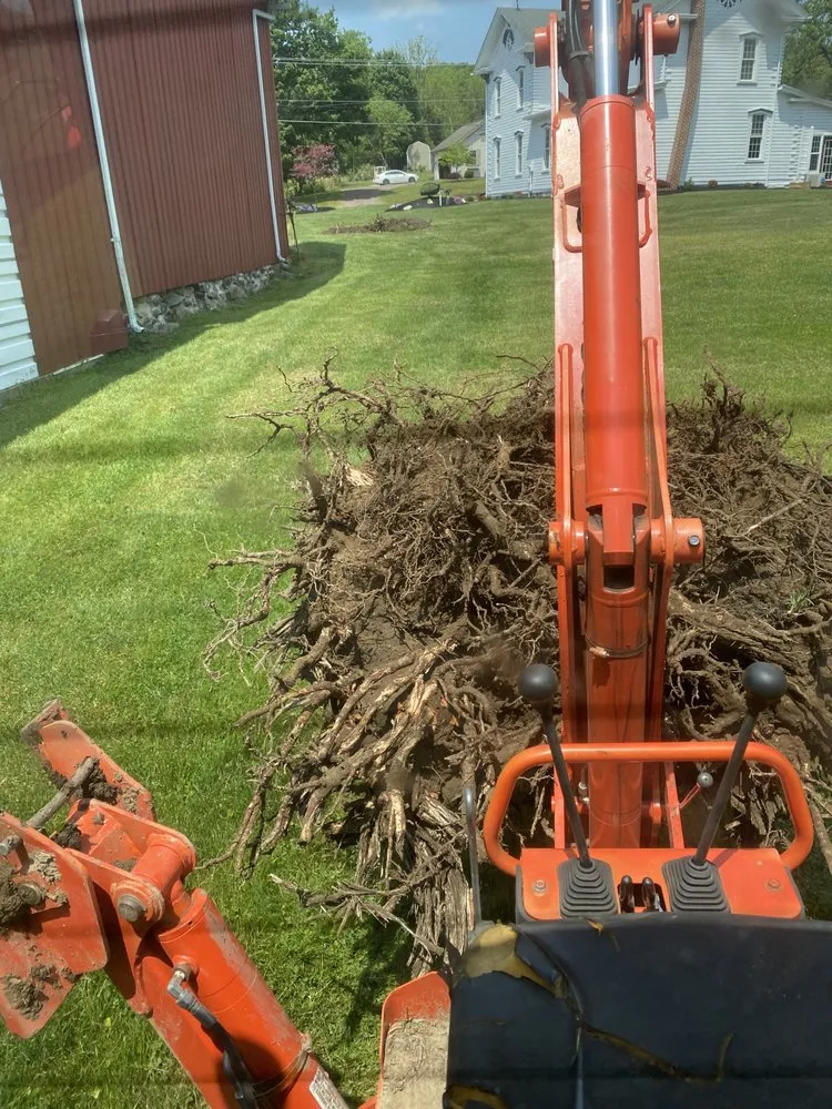 Custom yard cleanup service for outdoor upgrades across Berwick, PA - All About Lawn Care