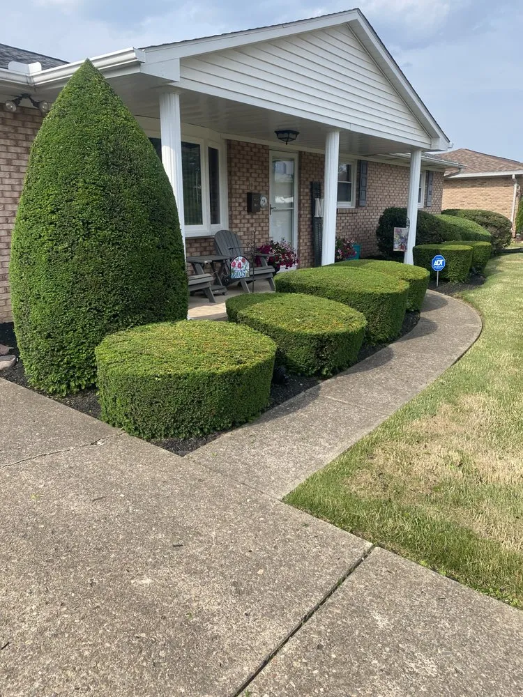 Top-rated lawn care service near you across Berwick, PA - All About Lawn Care