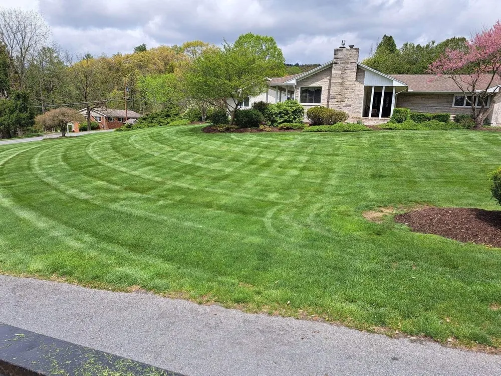 Custom yard cleanup service for outdoor upgrades across Berwick, PA - All About Lawn Care