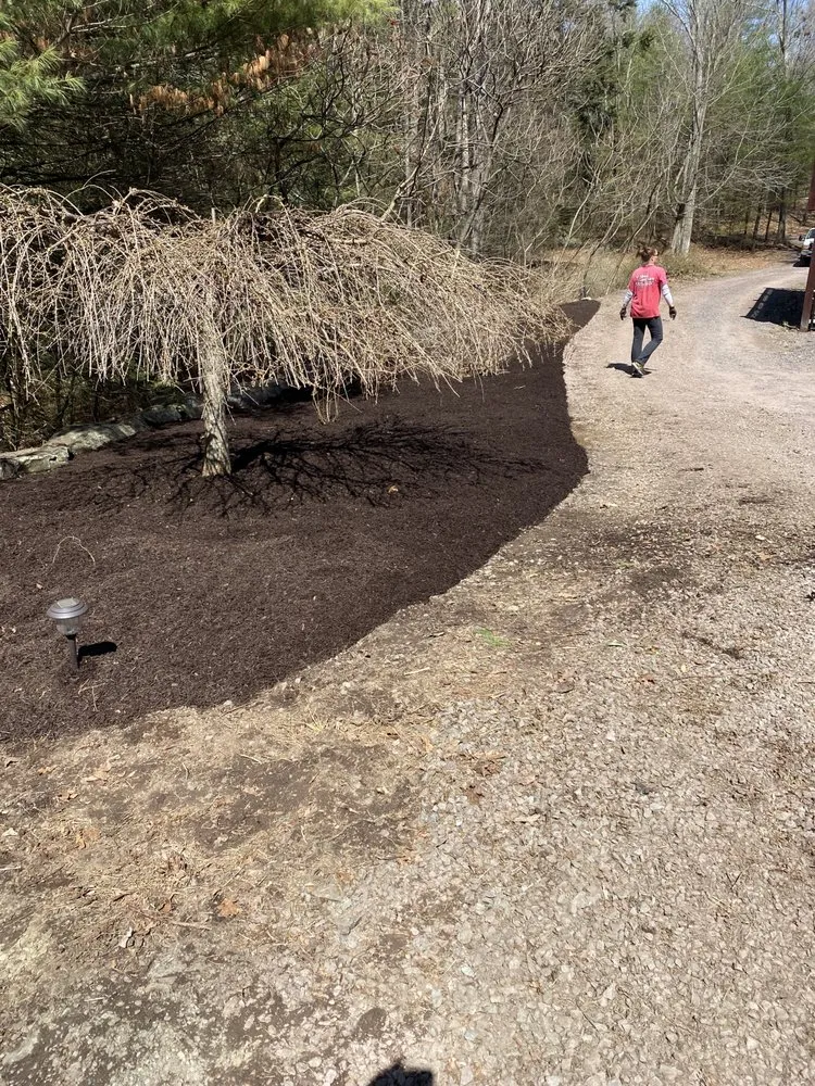 Trusted outdoor landscaping for beautiful yards across Berwick, PA - All About Lawn Care