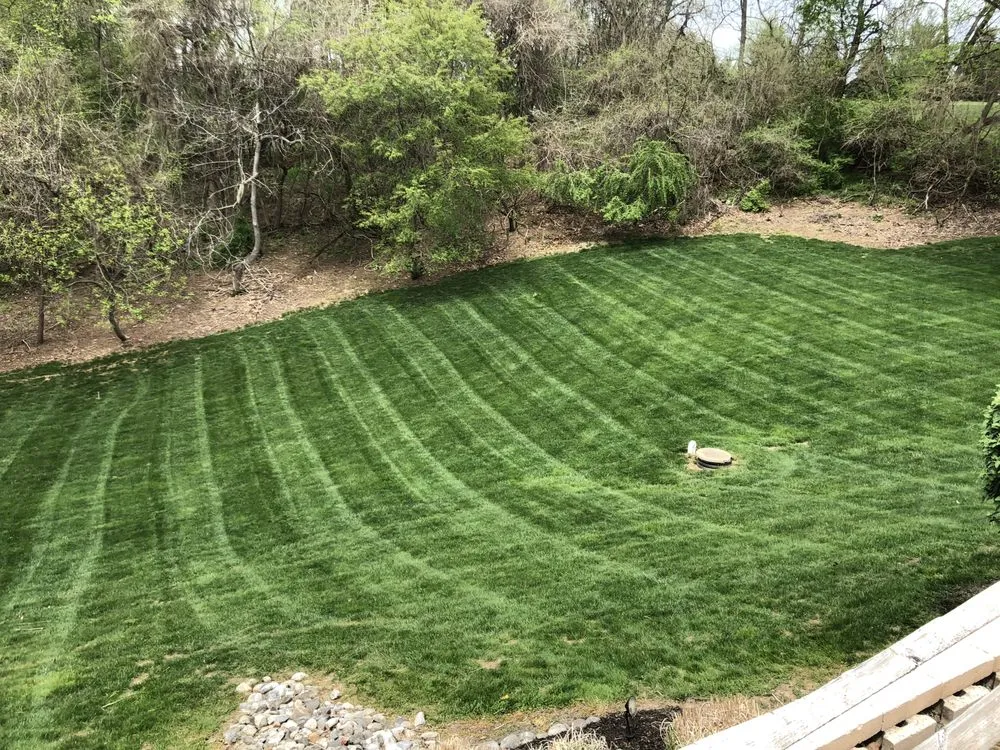 Expert landscape installation for homes across Wilmington, DE - All About Lawn Landscaping