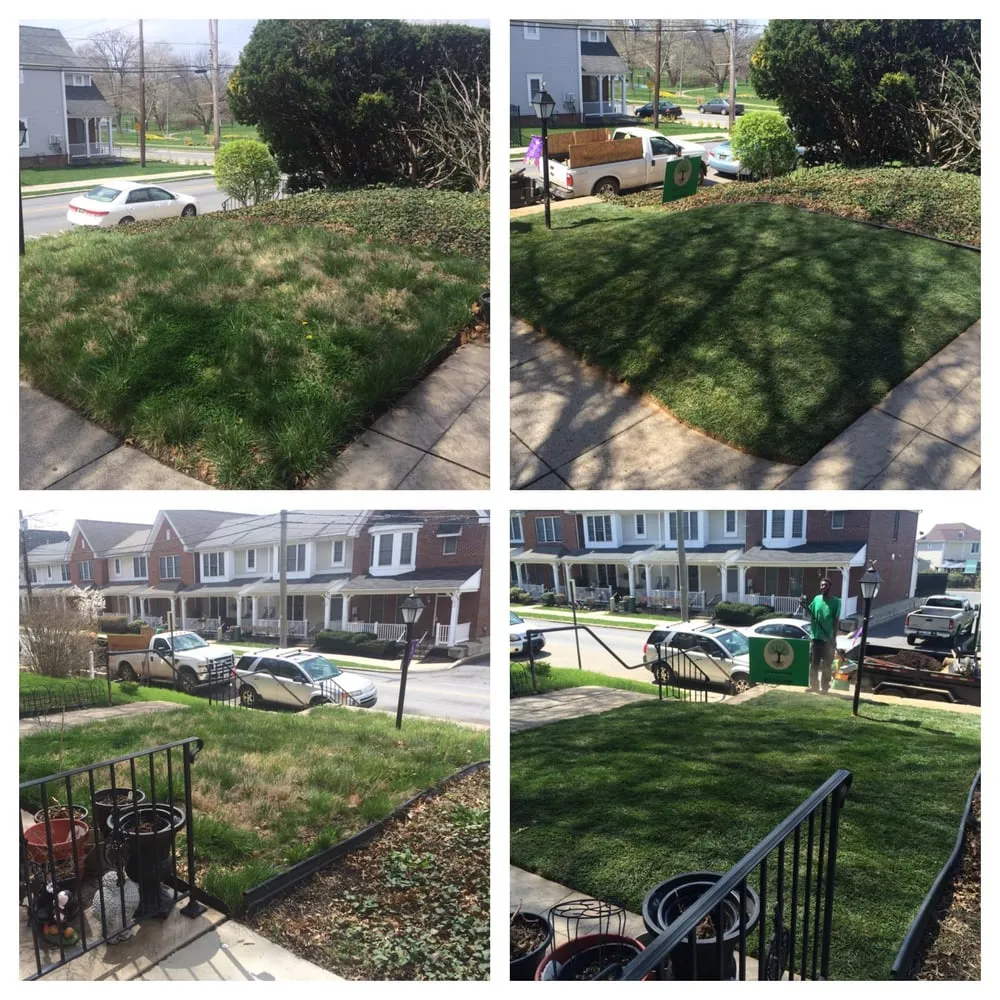 Local lawn care service in Wilmington, DE - All About Lawn Landscaping