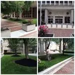 Professional lawn care service in Wilmington, DE - All About Lawn Landscaping