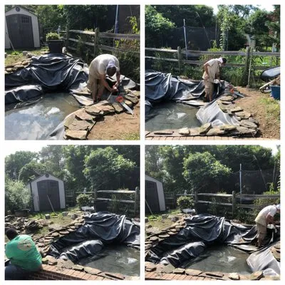 All About Lawn Landscaping Logo