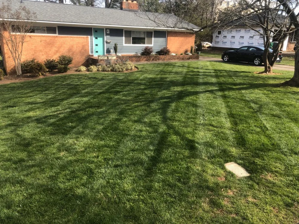 Trusted yard maintenance in Charlotte, NC by All About Lawns