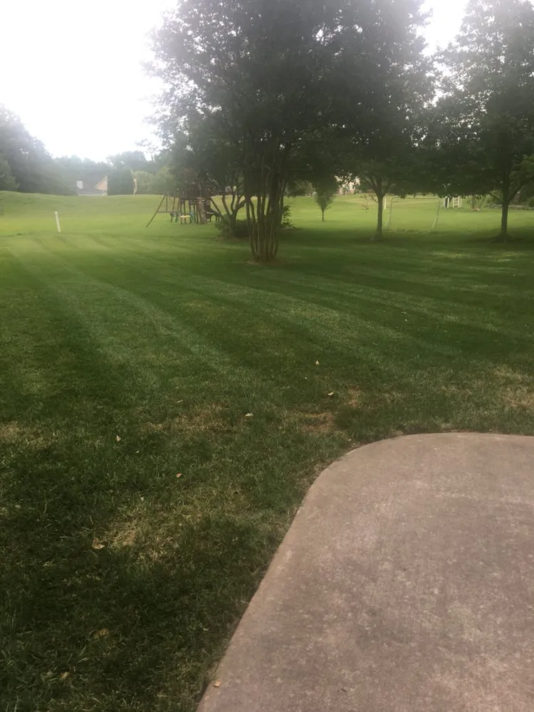 Professional landscape installation in Charlotte, NC by All About Lawns