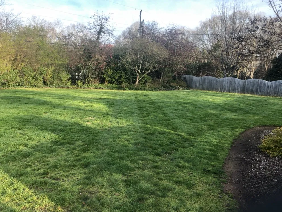 Trusted yard maintenance in Charlotte, NC by All About Lawns