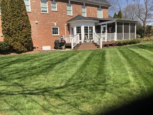 All About Lawns Logo