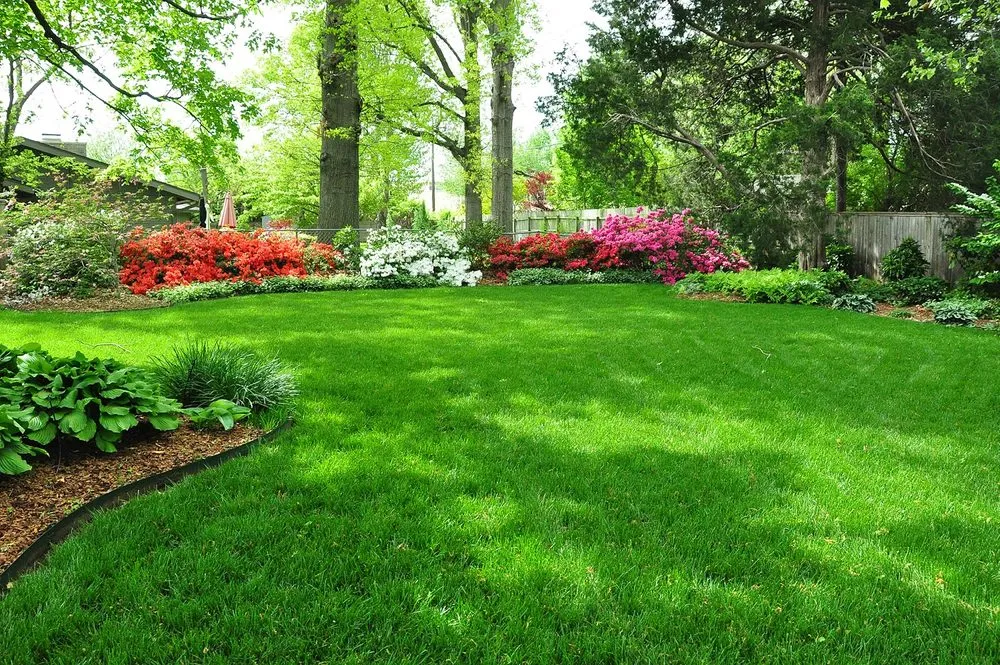Trusted landscaping services in Lufkin, TX by All About Lawns