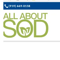 Professional lawn care service in Creedmor, NC - All About Sod - Creedmor