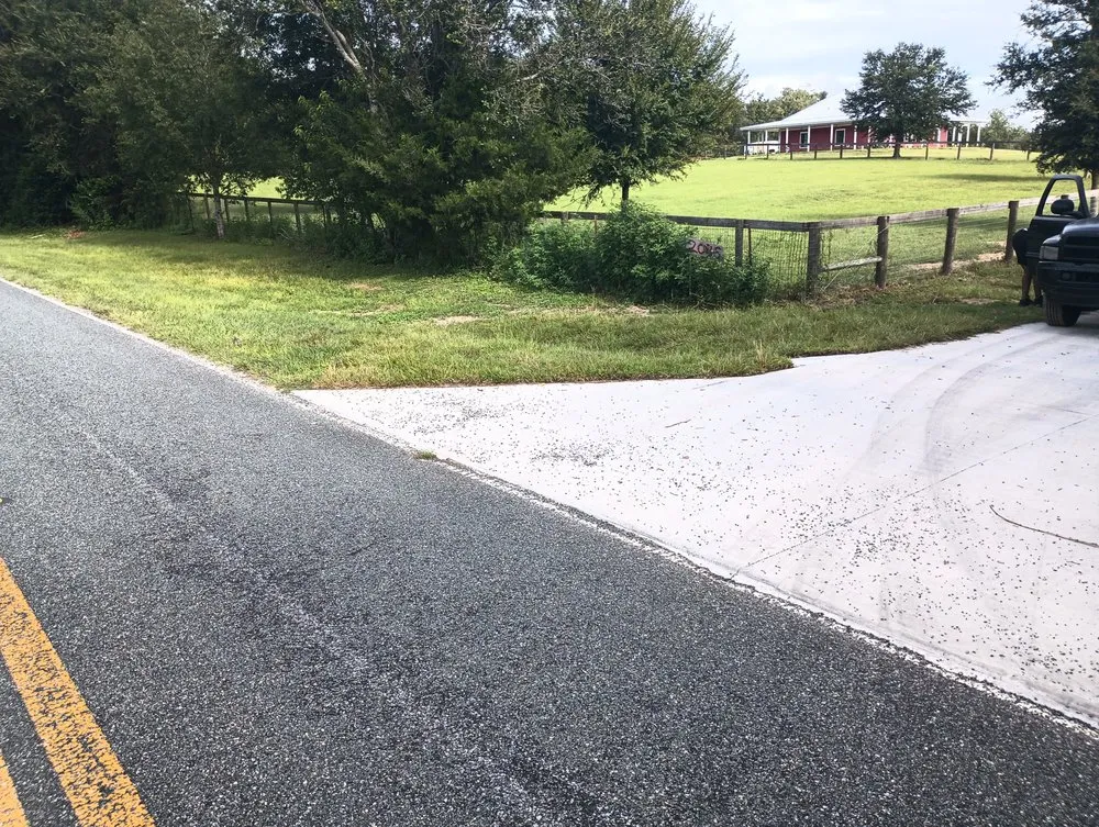 Reliable yard cleanup service experts serving Dunnellon, FL - All About Sod