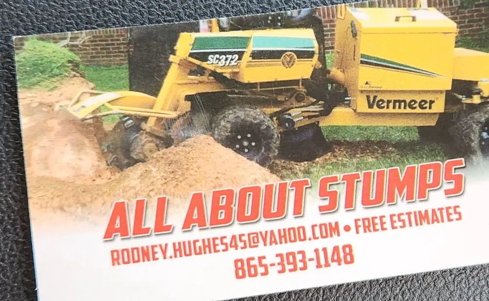 Local landscape design in Dandridge, TN by All About Stumps