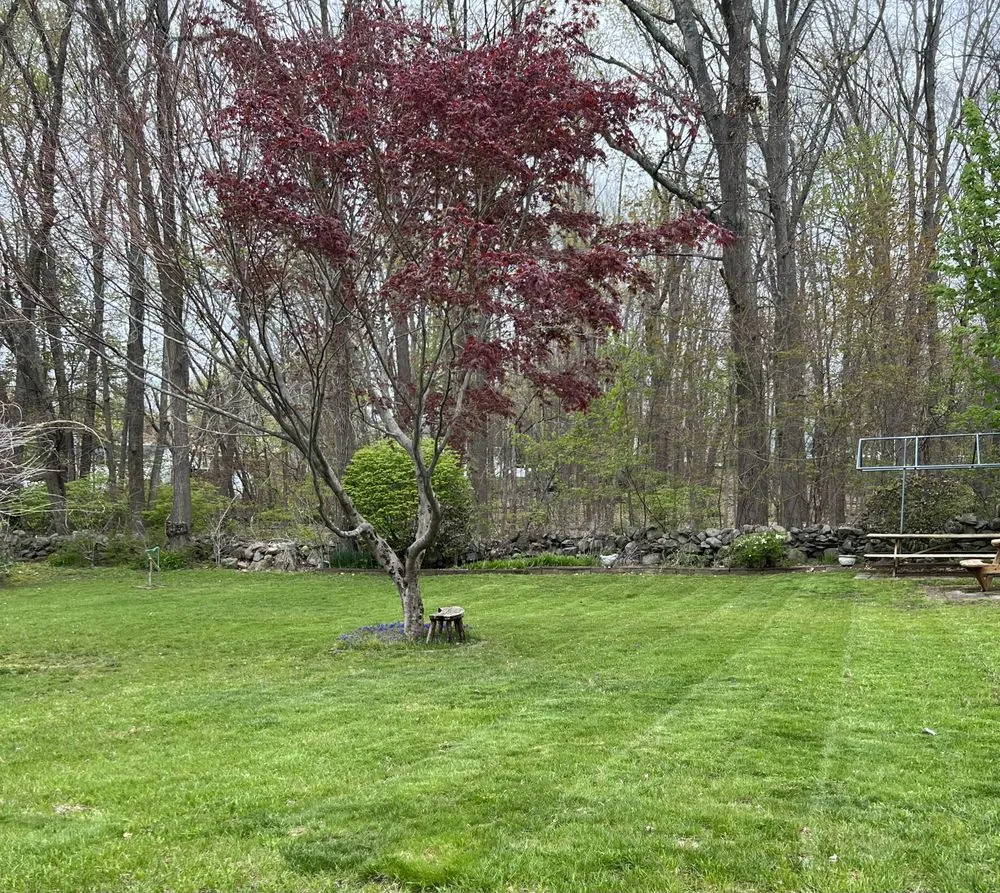 Local landscape design for residential properties across Woonsocket, RI - All About The Green Lawncare