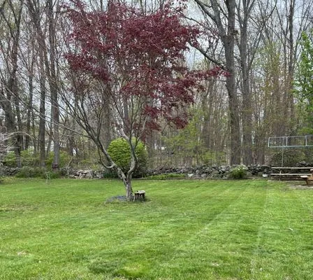 All About The Green Lawncare Logo