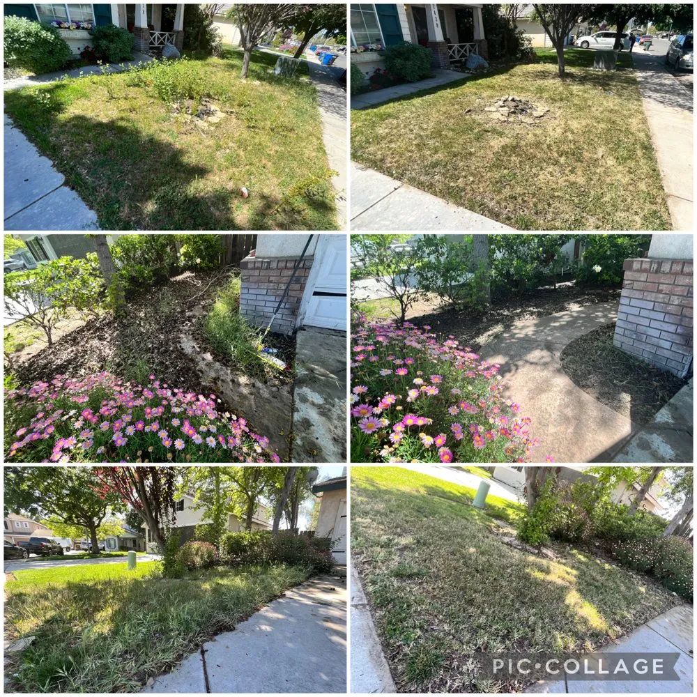 Top-rated landscape installation in Modesto, CA by All About The Green